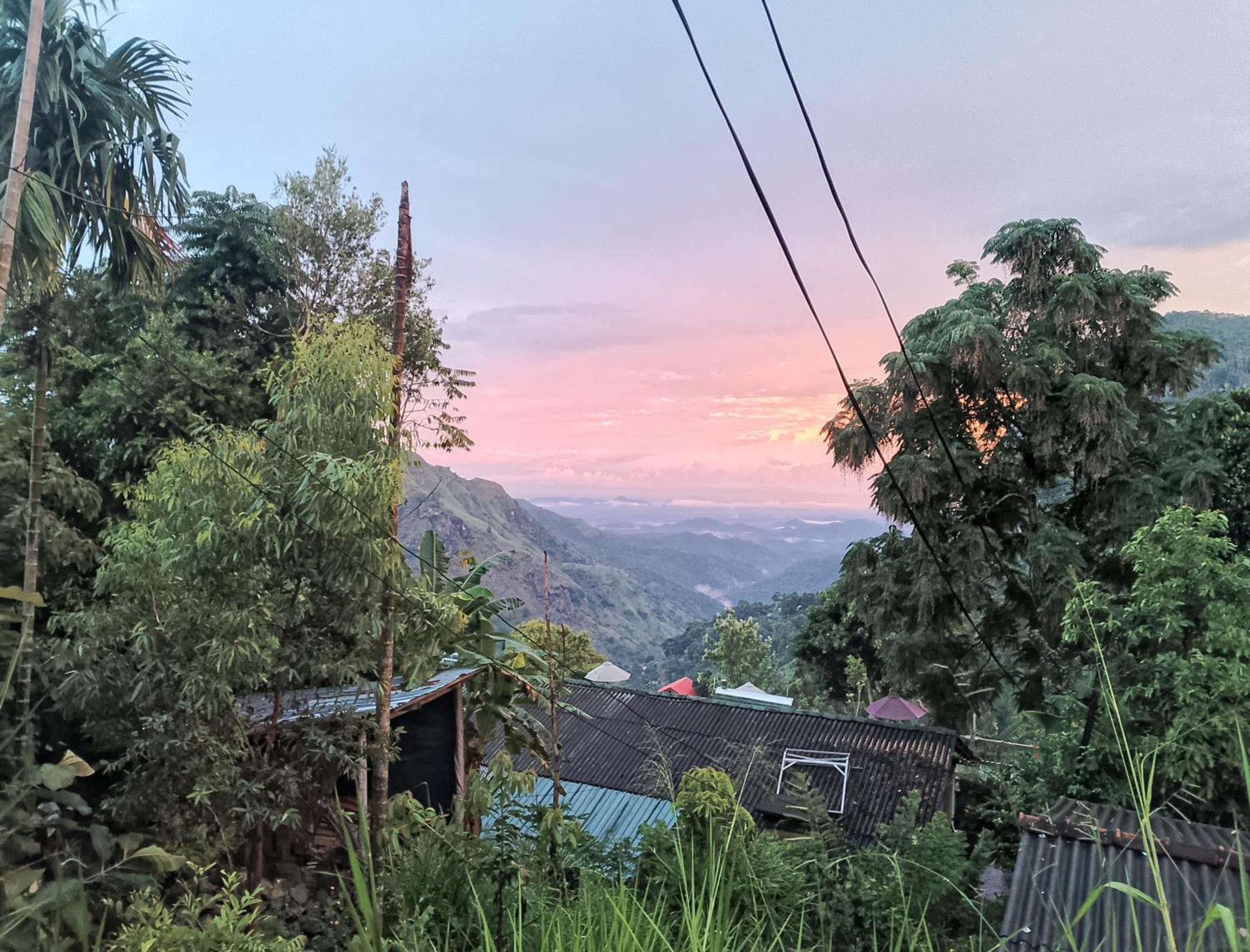 Neon Sky Nest Homestay